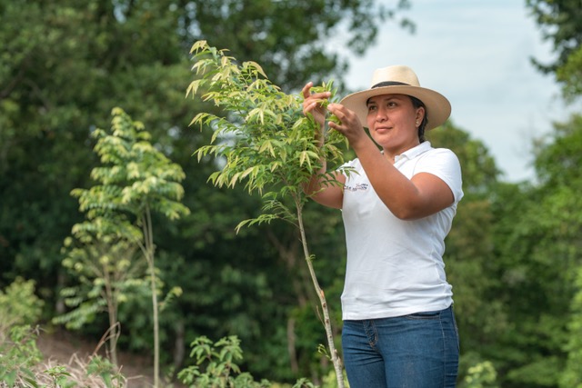 Gabriela Alvarez avec un jeune Abarco dans la plantation
